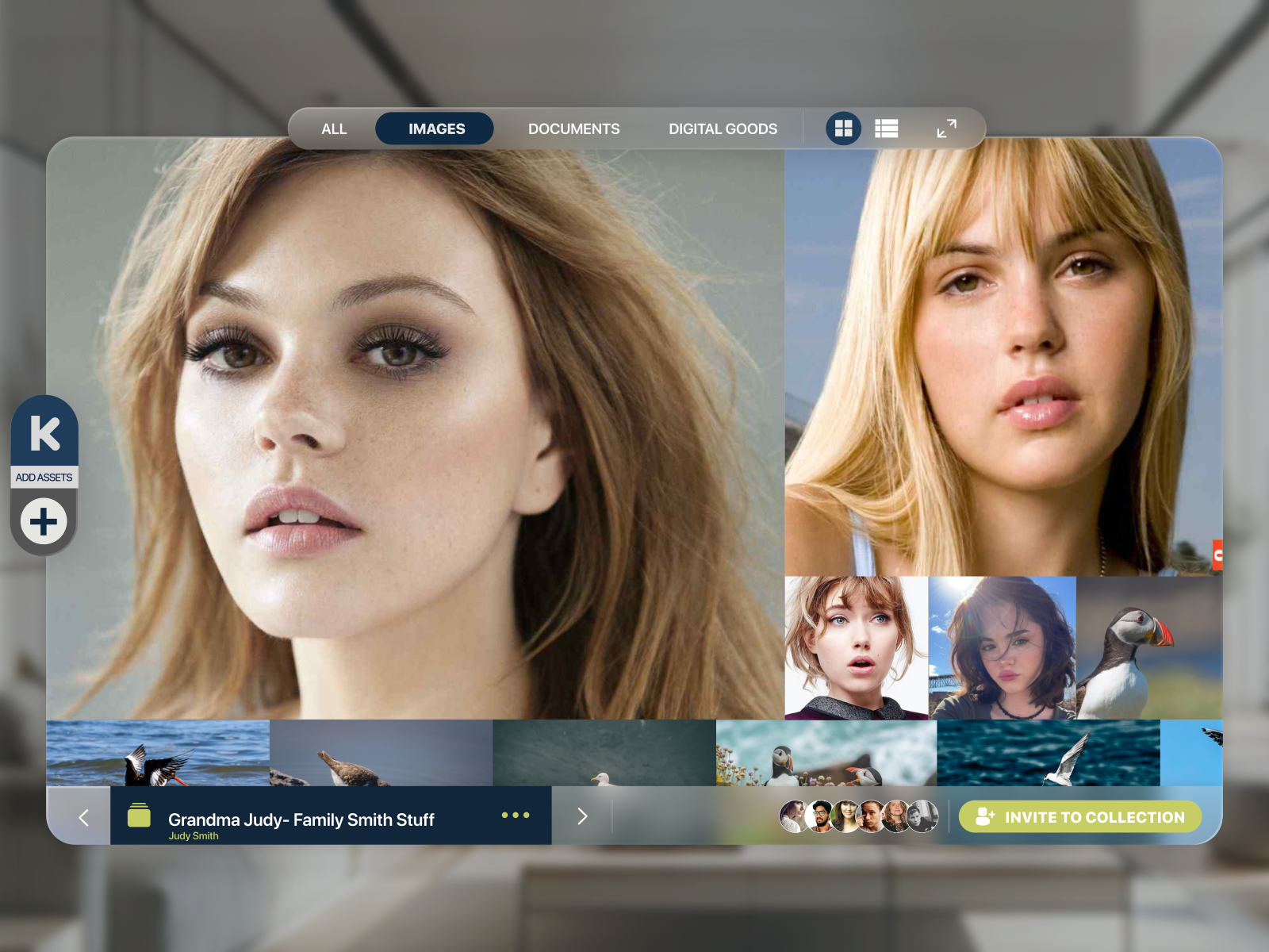 Keepsi — Spatial photo collection viewer with family circle